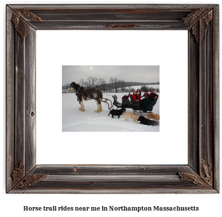 horse trail rides near me in Northampton, Massachusetts